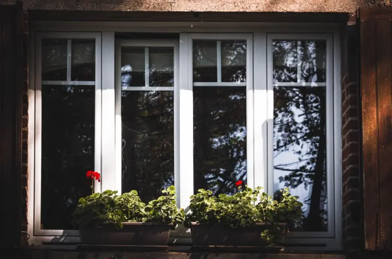 A charming window with red geranium flowers illuminated by soft daylight shadows.